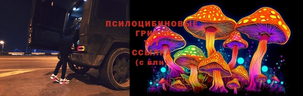 a pvp Каменка