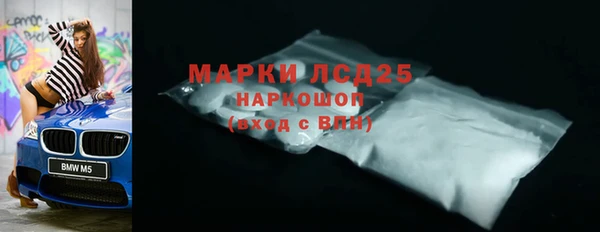 a pvp Каменка