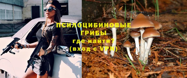 спайс Каменногорск