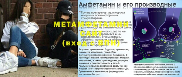 сатива Карпинск