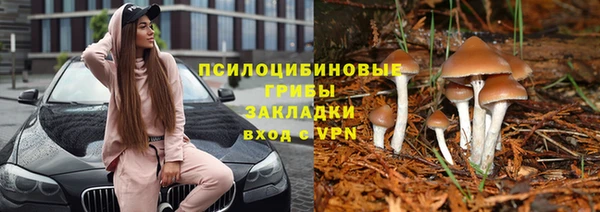 сатива Каменск-Шахтинский