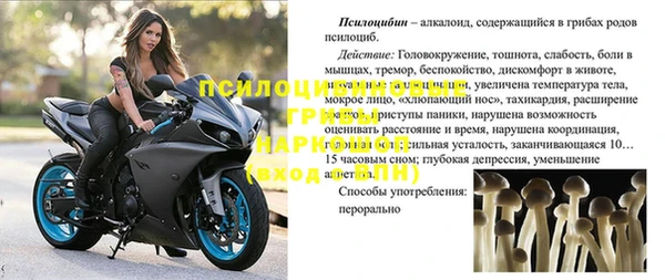 спайс Каменногорск