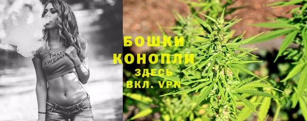 спайс Каменногорск