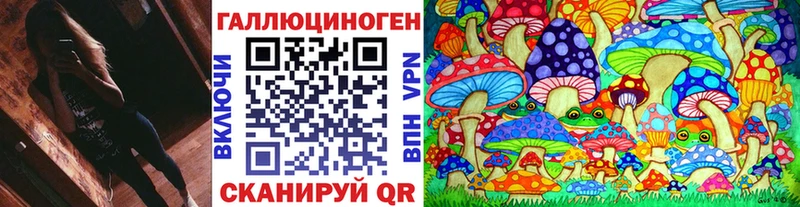 Купить где  Кизел  Галлюциногенные грибы прущие грибы 